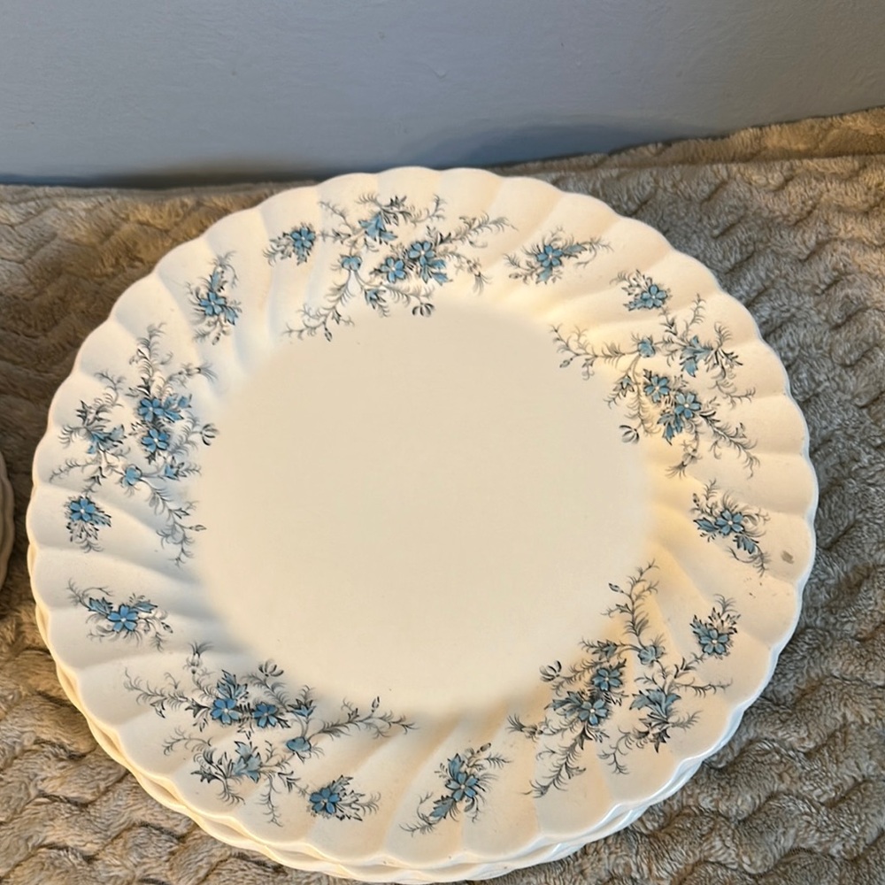 Elegant Blue Floral Dinner Plate